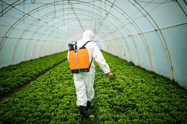 Reliable Arcadia, SC Pest Control Solutions