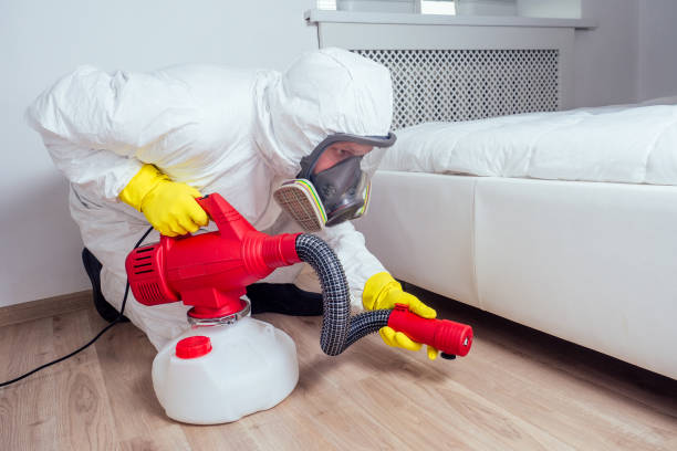 Best Best Pest Control Companies  in Arcadia, SC
